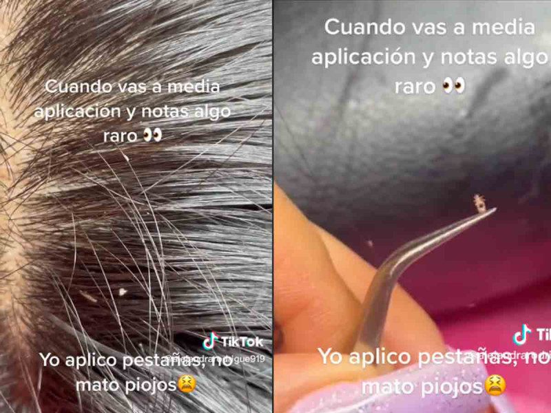 (VIDEO): “Lashista” descubre que su clienta tenía piojos