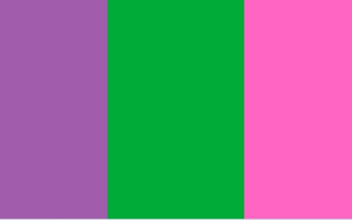 Bandera Feminista