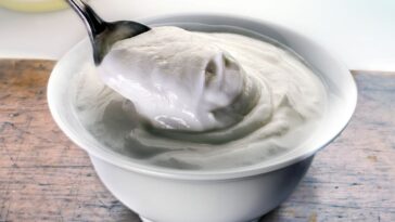 Chiapas Yogurt