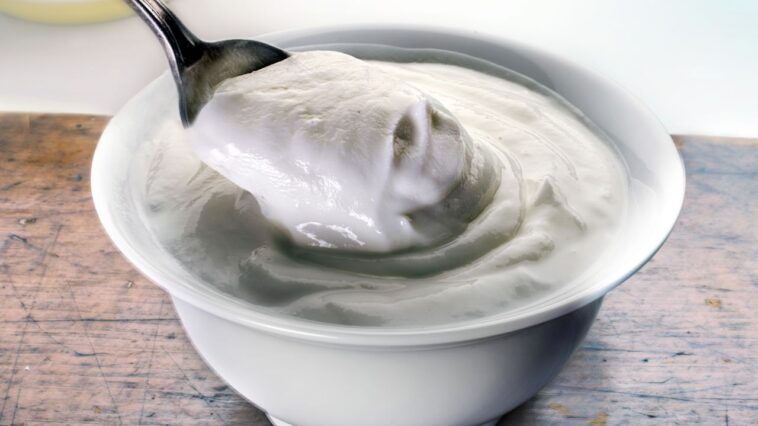 Chiapas Yogurt