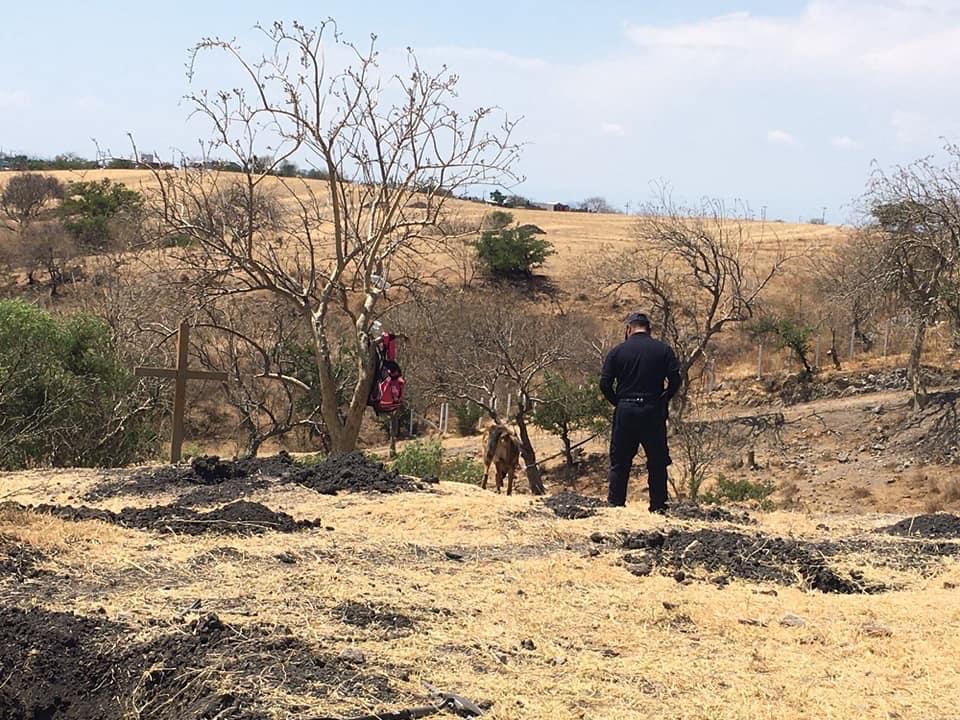 Localizan fosa clandestina en Yecapixtla 