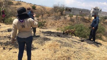 fosa clandestina en Yecapixtla