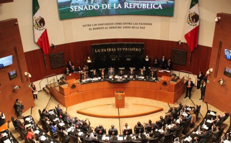 cámara de senadores