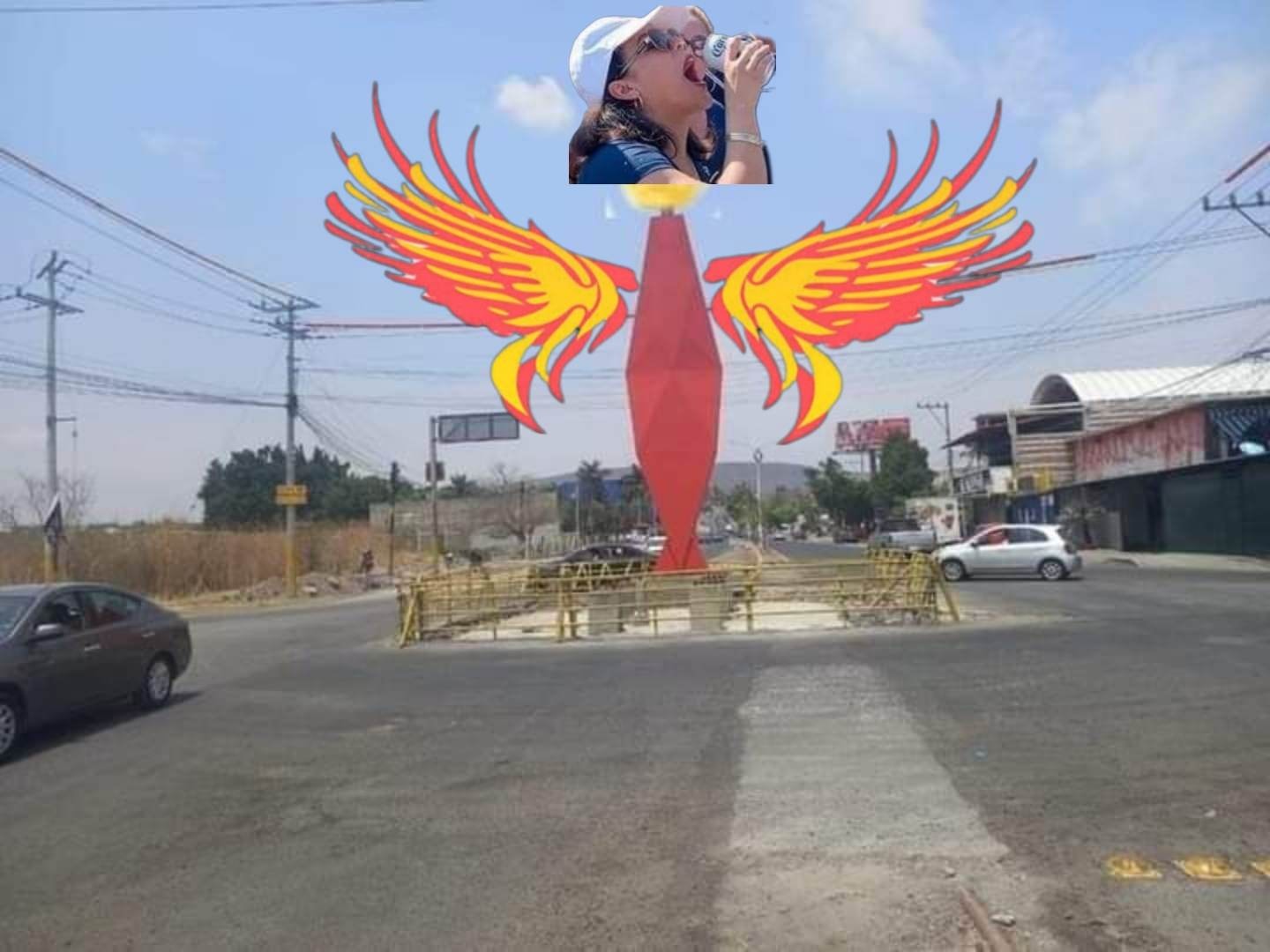 Ave Fenix Jojutla