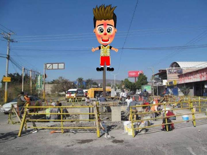 Ave Fenix Jojutla