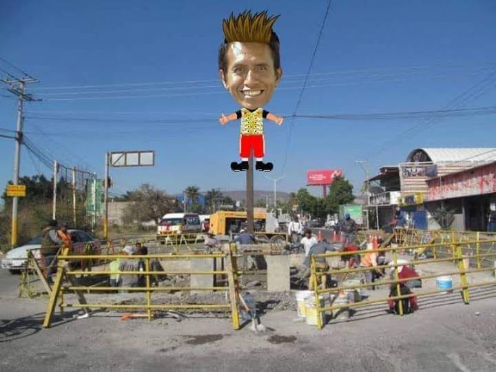 Ave Fenix Jojutla