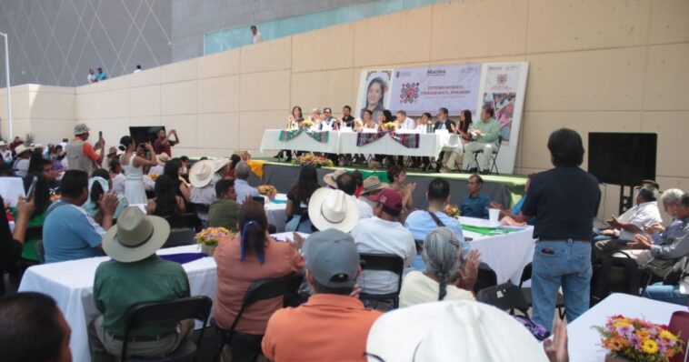 Congreso plenaria indigenas