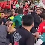 violencia Xolos