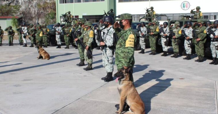 ejercito mexicano morelos