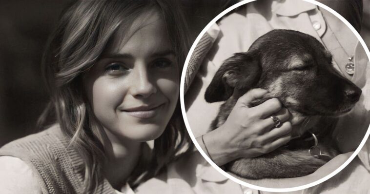 emma whatson perro