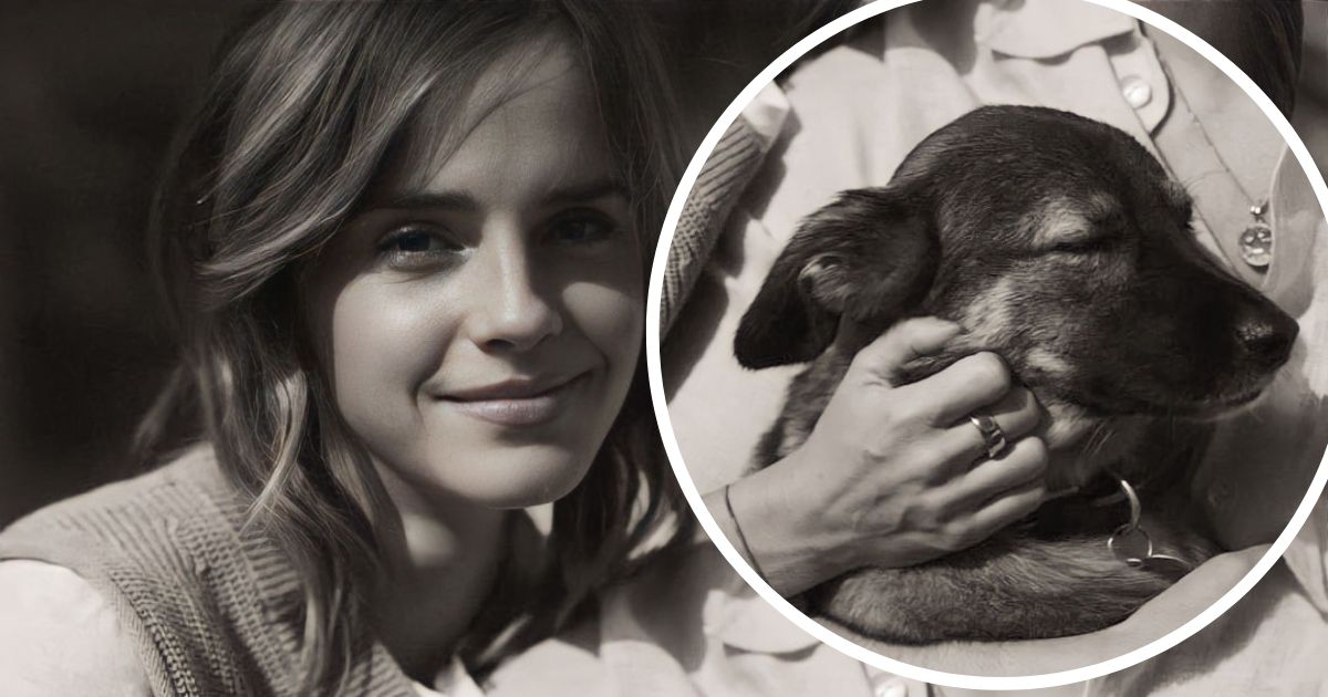 emma whatson perro