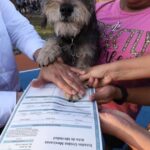 Registro de mascotas en Mérida