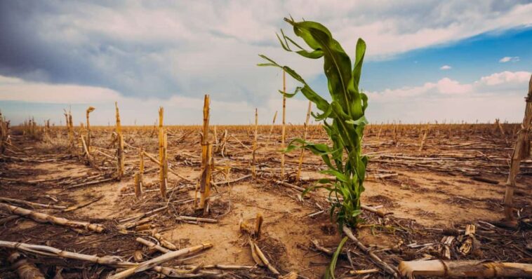 Cambio Climático Morelos