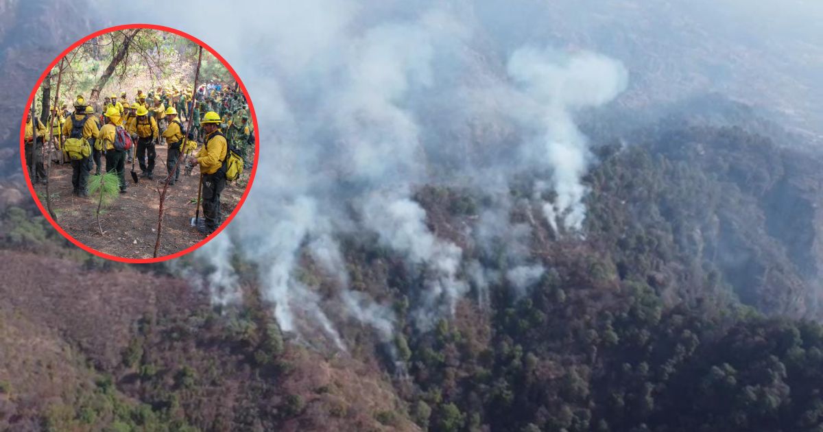 Atención de incendios forestales