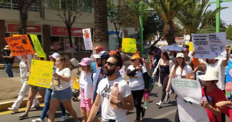 Marcha en defensa de los perritos en Hidalgo