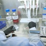 IMSS desarrolla investigación para controlar daños de páncreas causadas por diabetes