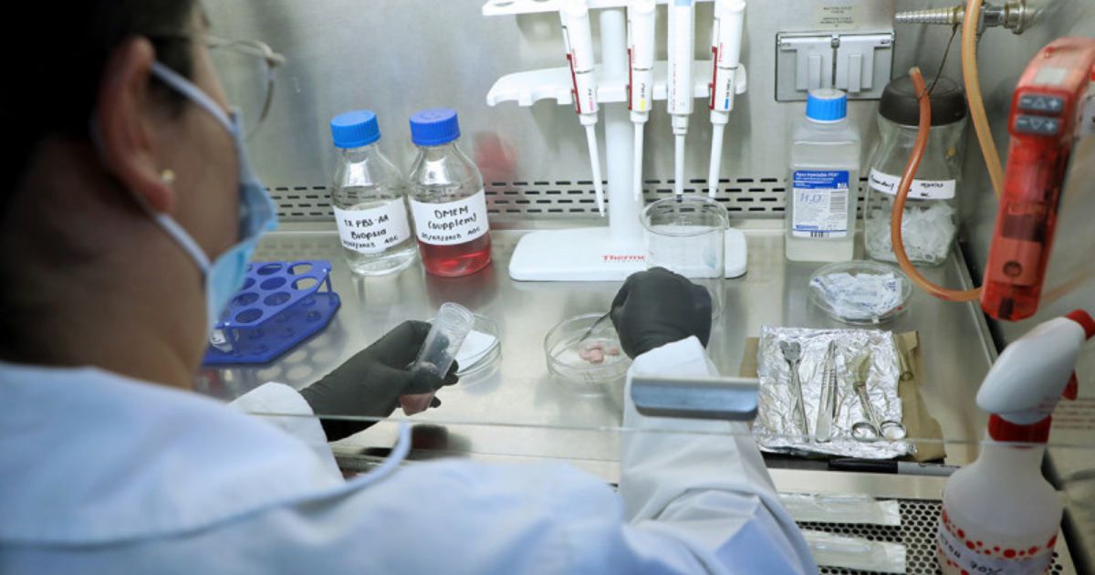 IMSS desarrolla investigación para controlar daños de páncreas causadas por diabetes