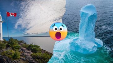 Iceberg de terranova