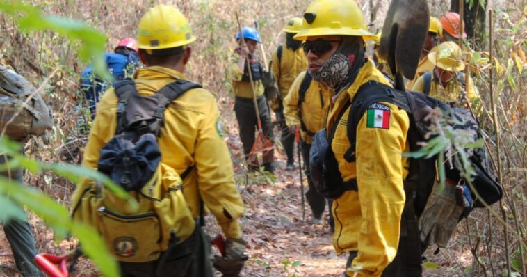 Incendio en tepoztlán