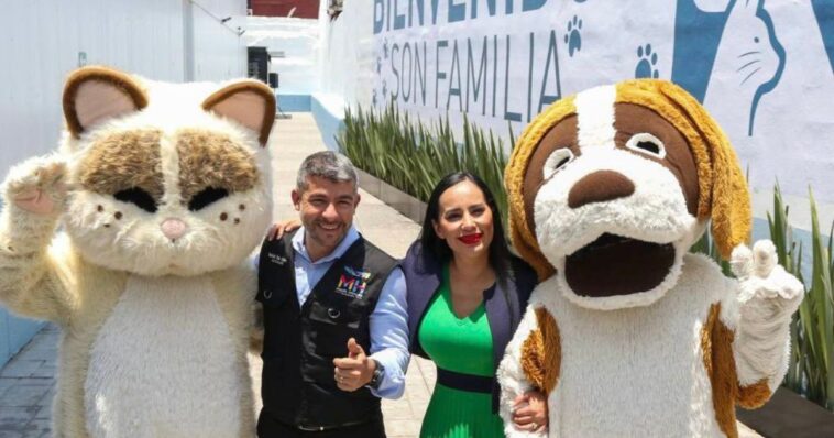 primer hotel de animales abandonados