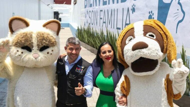 primer hotel de animales abandonados