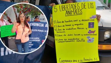 5 libertades de los animales