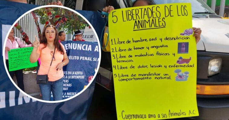 5 libertades de los animales