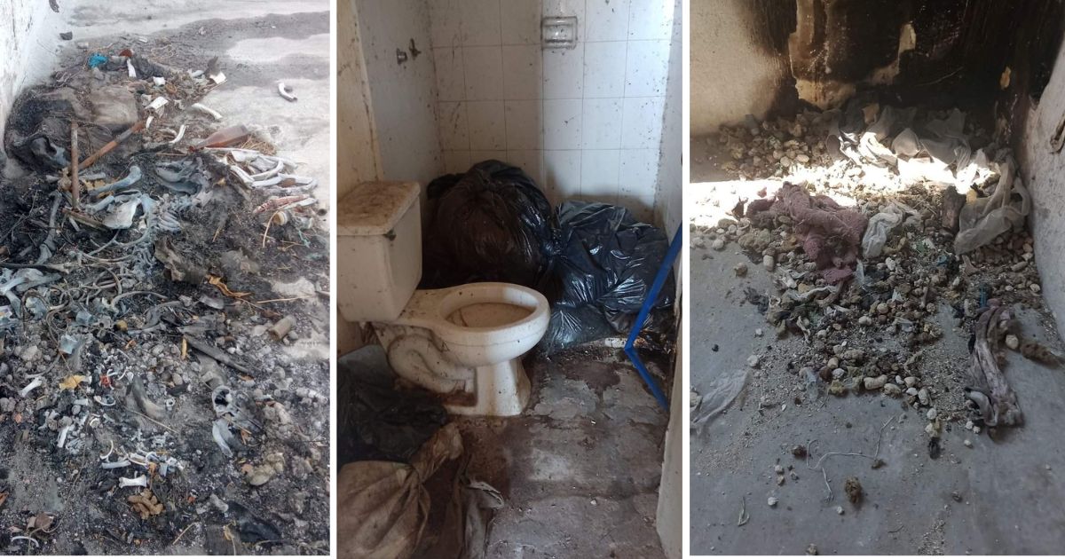 Bolsas con supuestos restos
