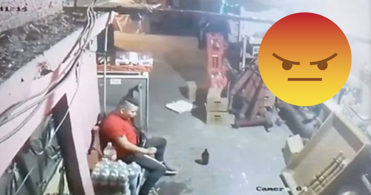(VIDEO): Sujeto que ahorcó a gatito ya ha sido identificado