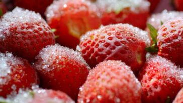 Fresas contaminadas