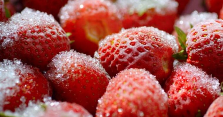 Fresas contaminadas