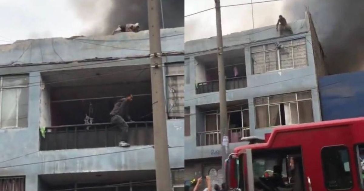 Hombre rescata a perritos