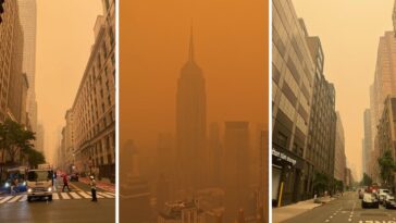 Humo de incendios en NY