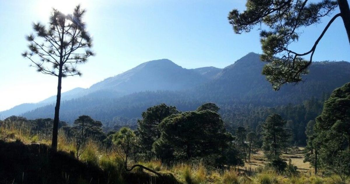 Parque Nacional Ajusco