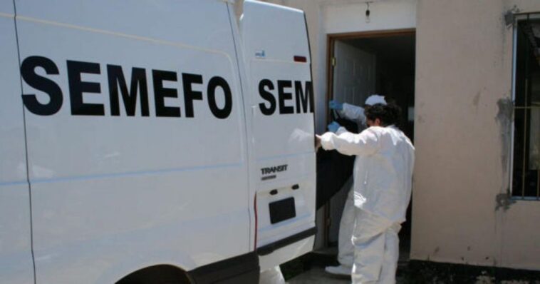 Semefo