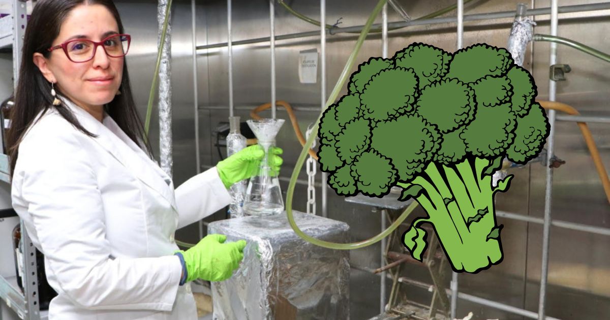 Investiga UAEM propiedades del brócoli en el tratamiento del cáncer