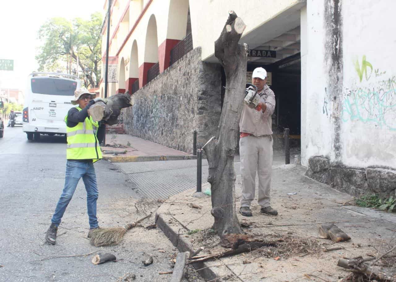 Avenida Morelos