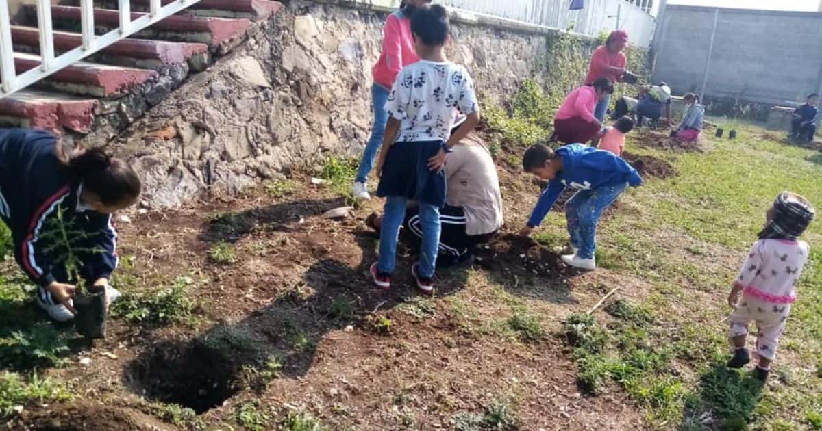 Plantarán más árboles en Atlatlahucan