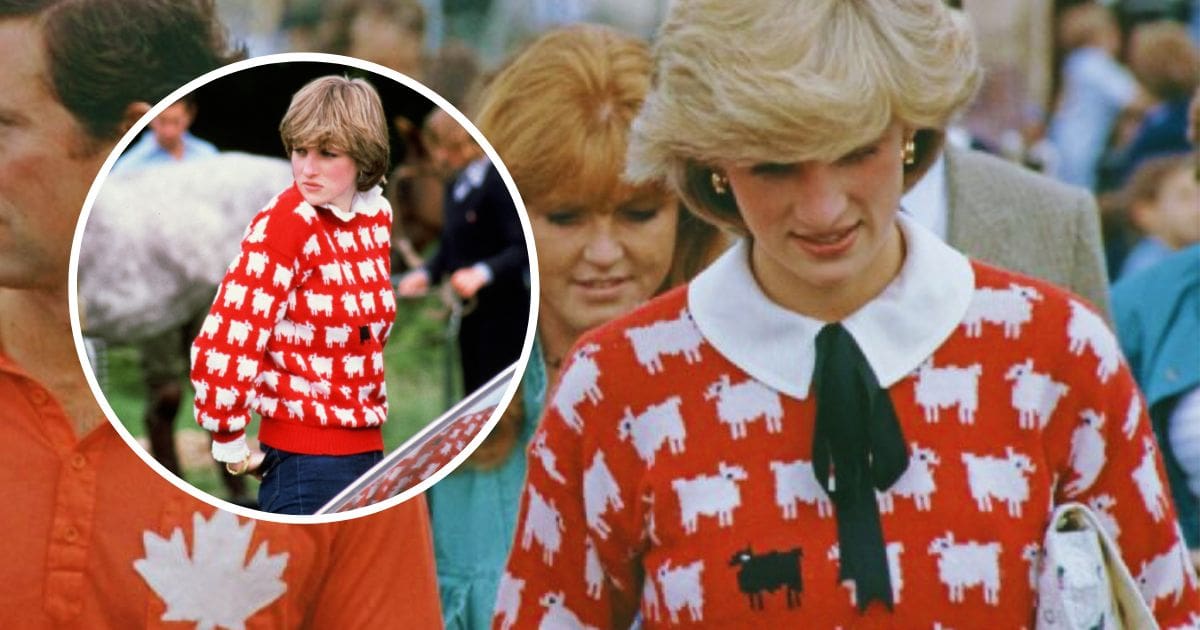 A la venta, polémico suéter de Diana