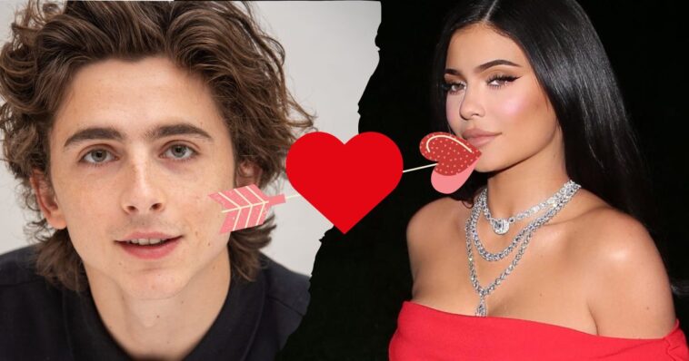 kylie jenner novio y timothée