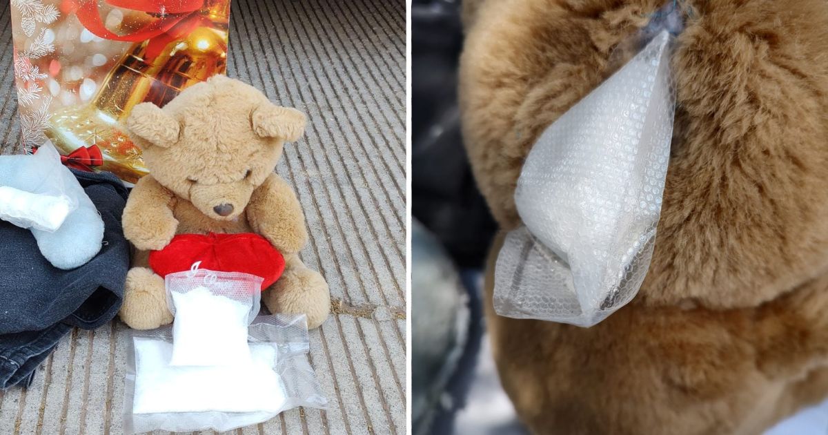 oso de peluche