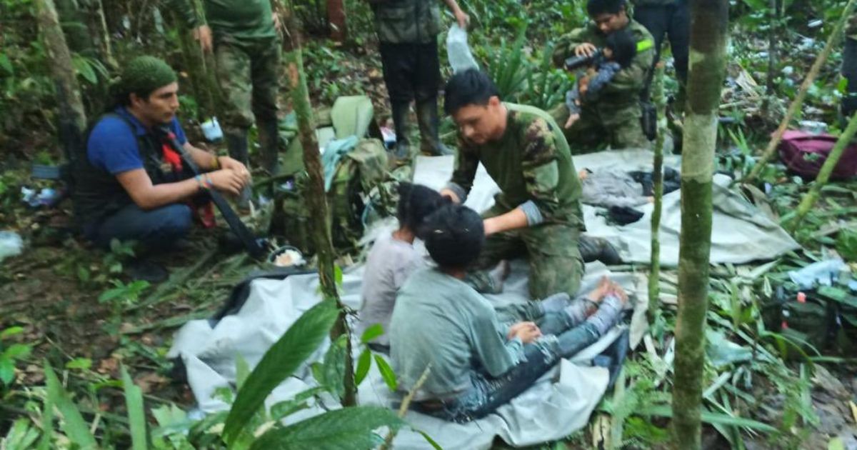 Selva de Colombia