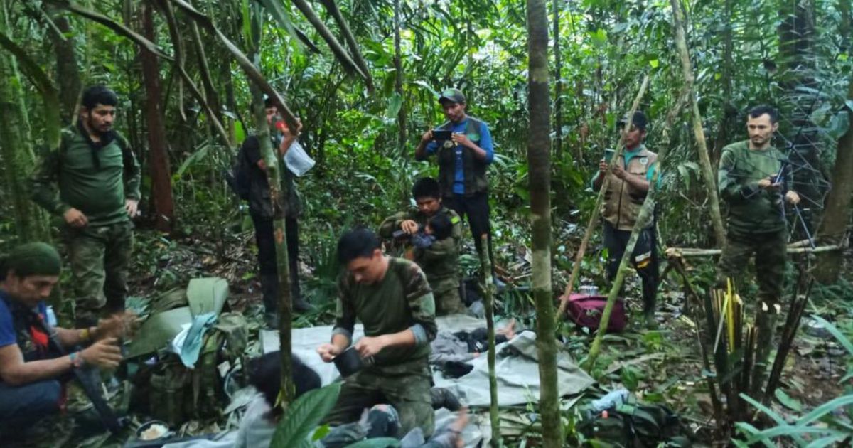 selva de Colombia