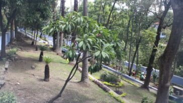 Parque Porfirio Diaz