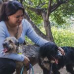 Adopción de perritos Cuernavaca