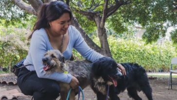 Adopción de perritos Cuernavaca