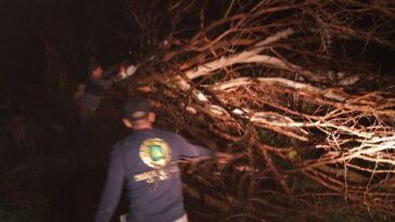 No se reportan afectaciones severas por las lluvias