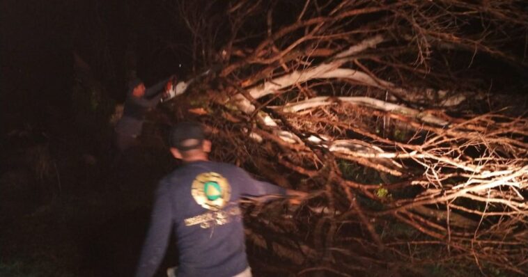 No se reportan afectaciones severas por las lluvias