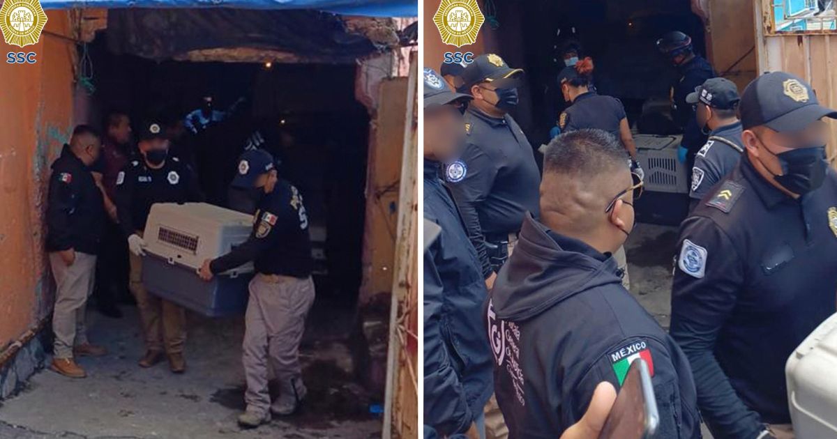 Policías de la SSC