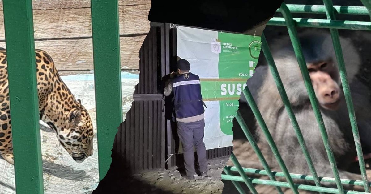Suspenden quinta